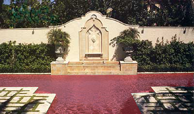 poolofblood2.jpg
